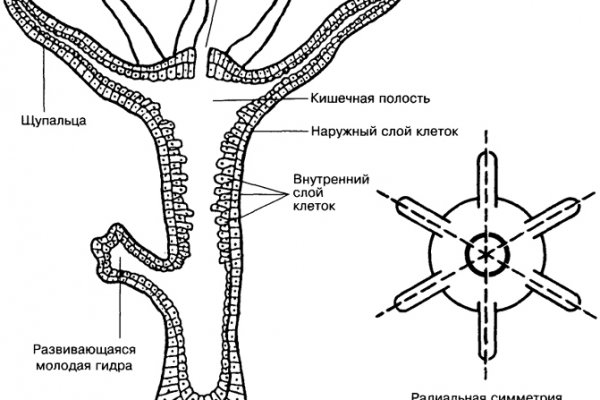 Кракен не грузит