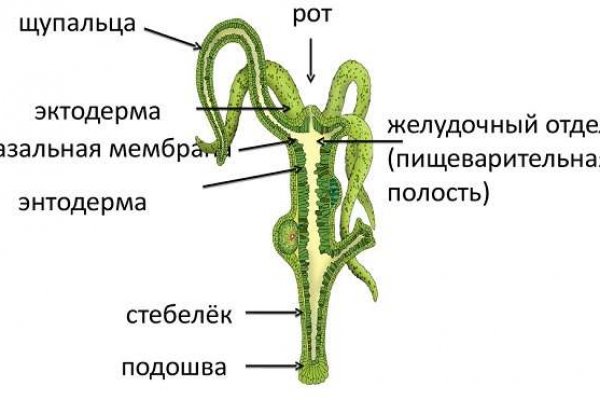 Кракен онион ссылка на тор