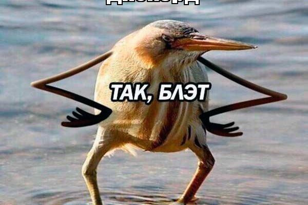 Кракен что это за маркетплейс